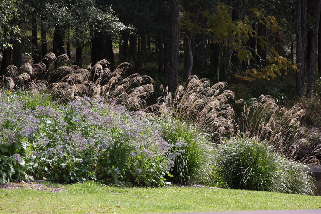 Sydney Garden Designer Michael Cooke - Michael Cooke Garden Design