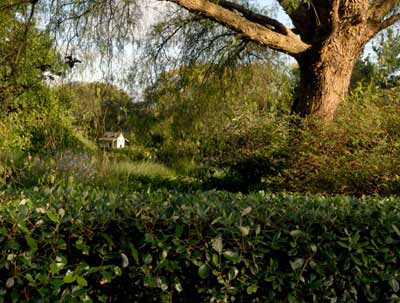 Duffys Forest Garden Design